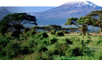 Kenya 3