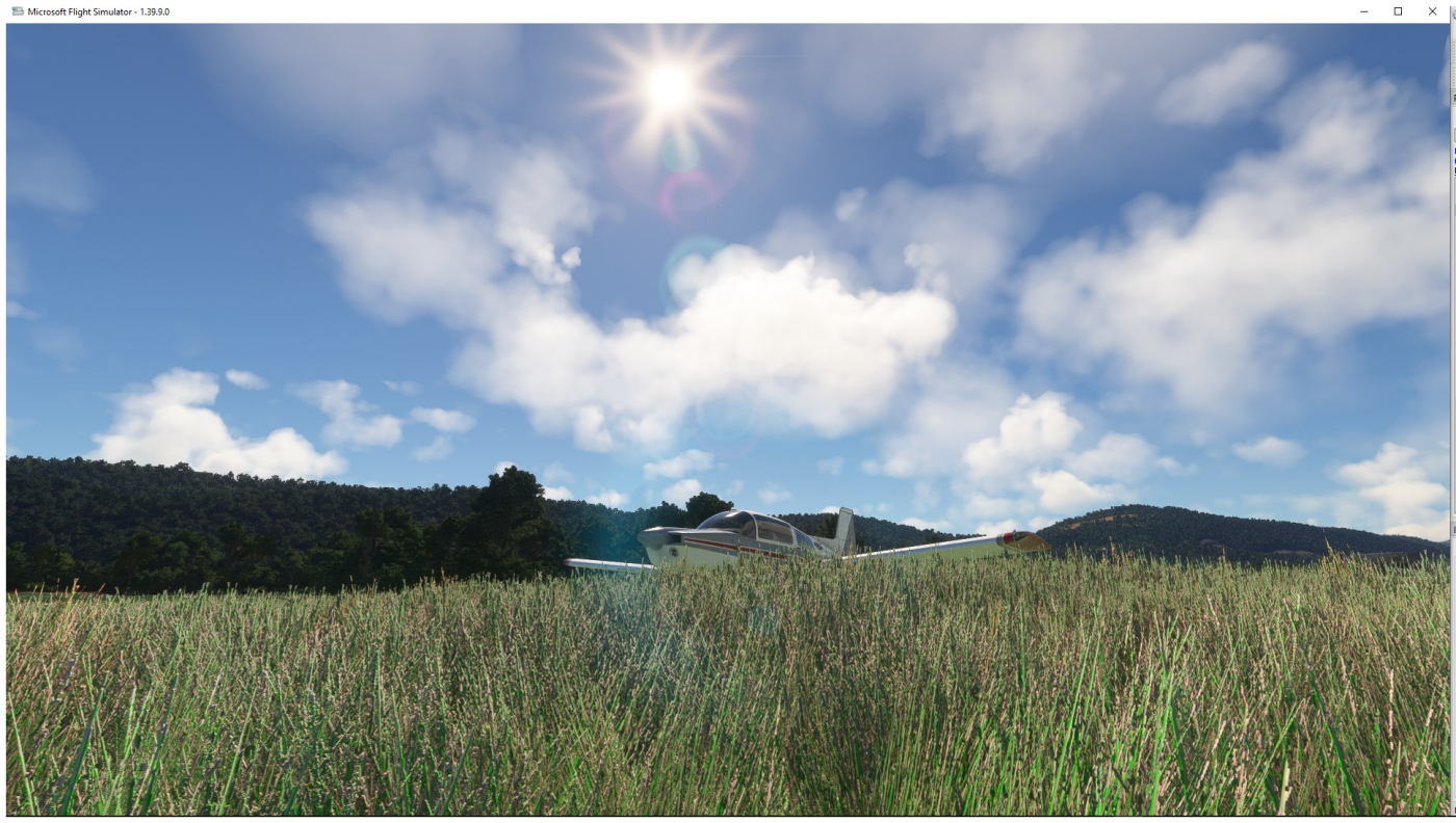 22-12-2025 balade en Jamaique 2