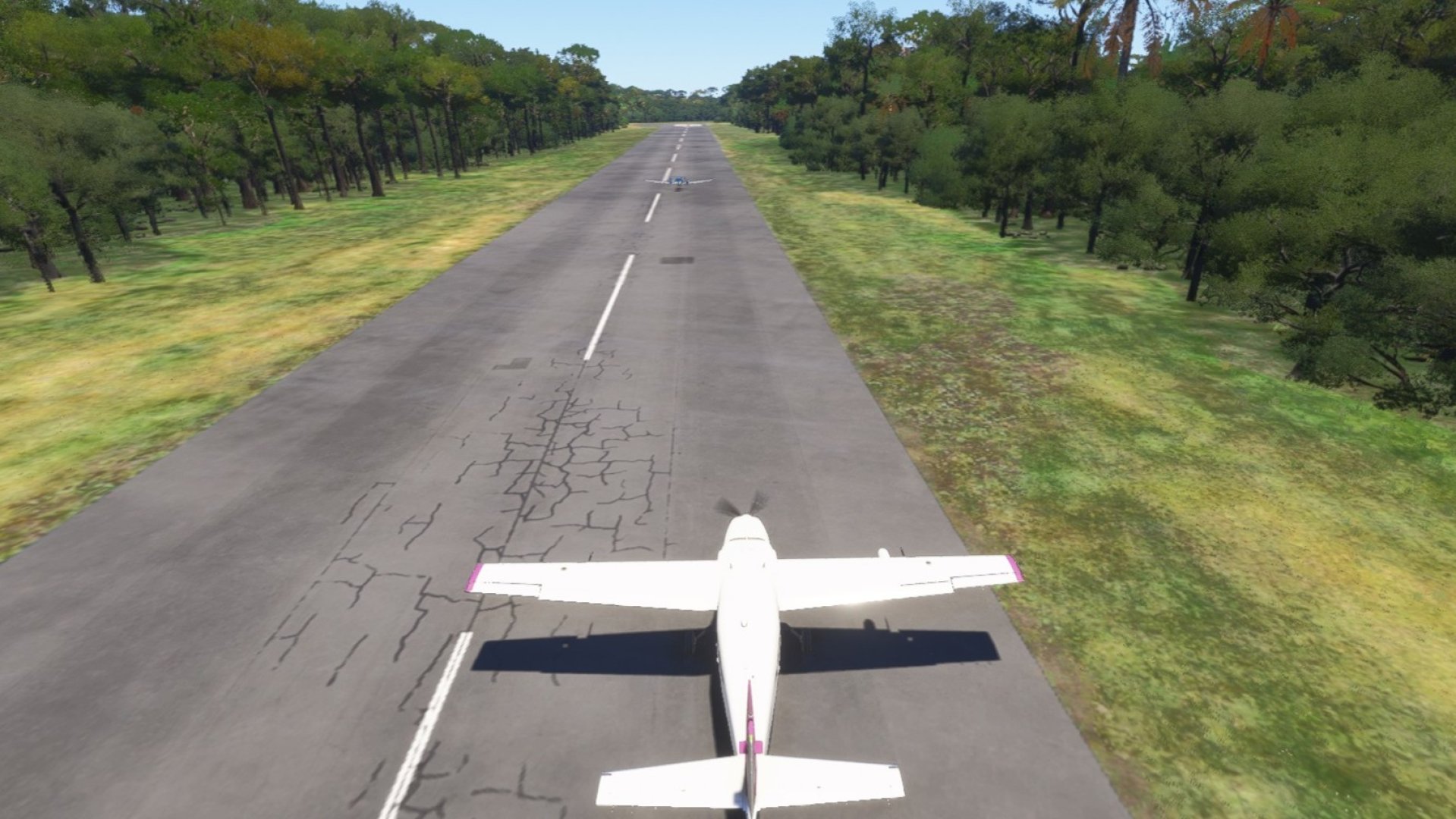 23-03-2026 Brésil 3